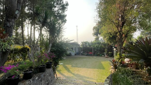 IMG-20250604-WA0115