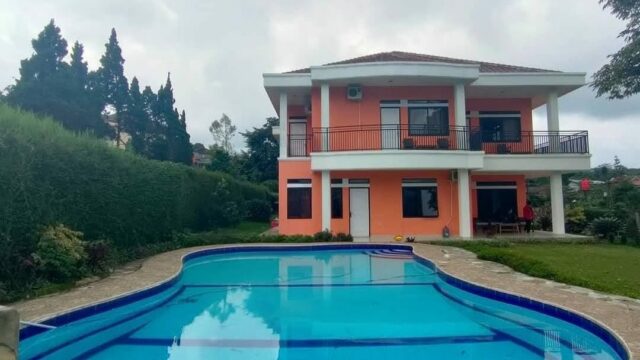 6e4e767a-7893-4a08-81db-a8363ea41208