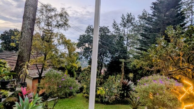 WhatsApp-Image-2025-11-29-at-3.34.15-PM