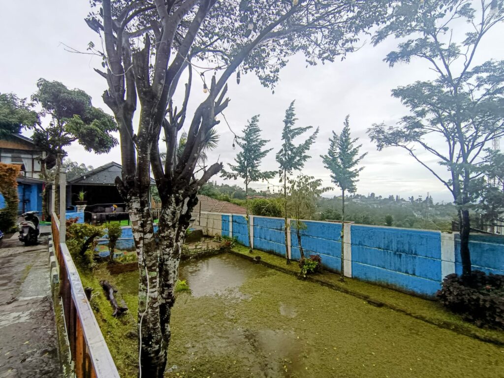 WhatsApp-Image-2025-11-29-at-3.59.46-PM