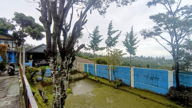 WhatsApp-Image-2025-11-29-at-3.59.46-PM