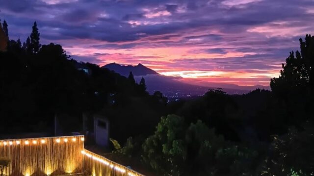 WhatsApp-Image-2025-11-29-at-4.06.23-PM