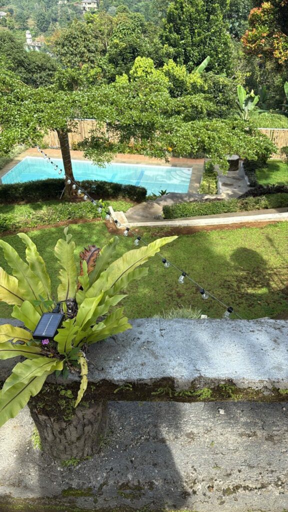 WhatsApp-Image-2025-11-29-at-4.06.28-PM-1