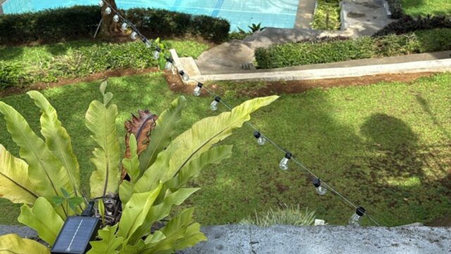 WhatsApp-Image-2025-11-29-at-4.06.28-PM-1