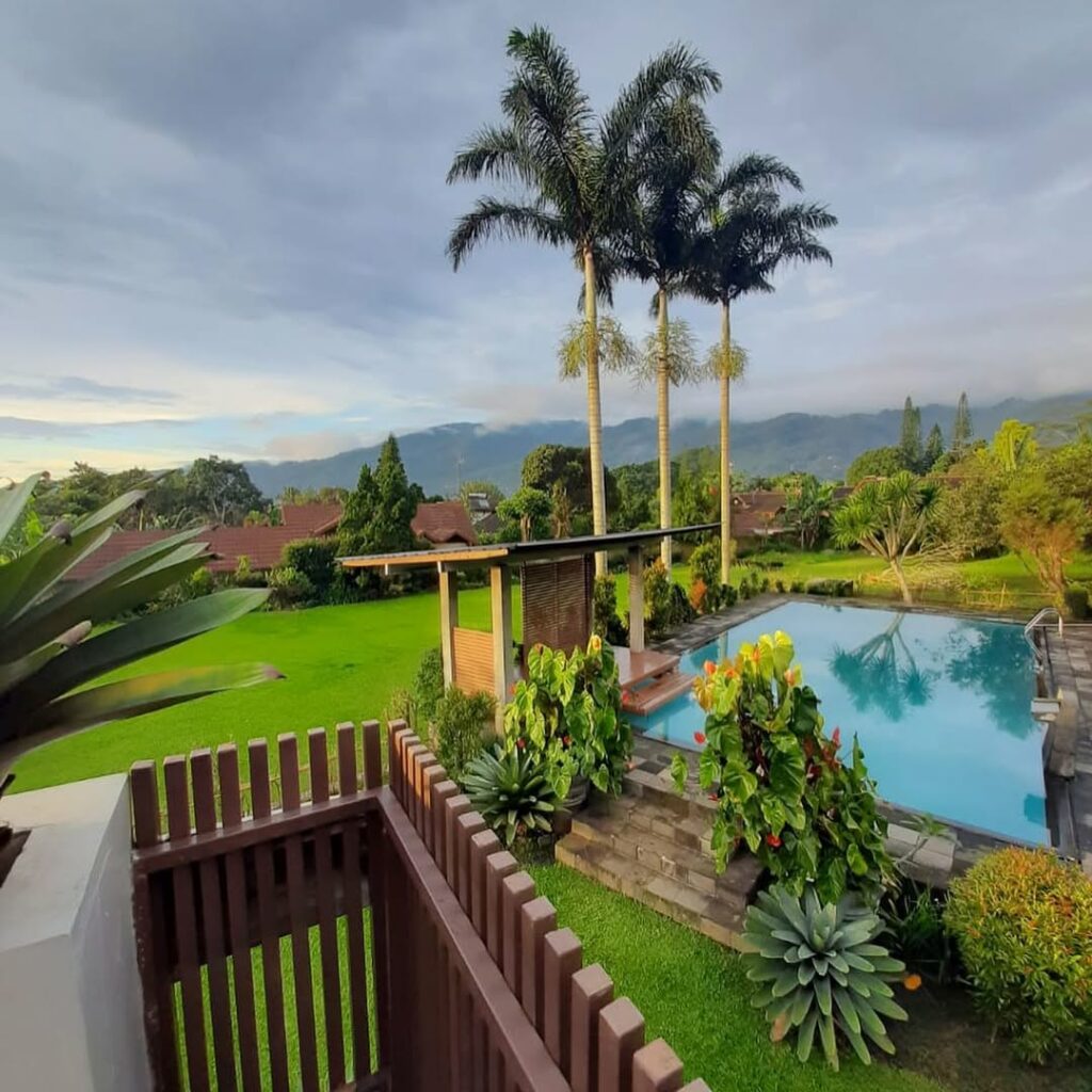 WhatsApp-Image-2025-12-04-at-2.18.01-PM-1