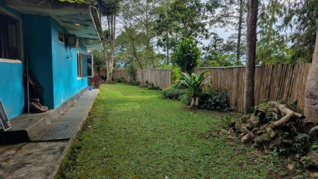 WhatsApp Image 2026-04-09 at 7.43.55 PM