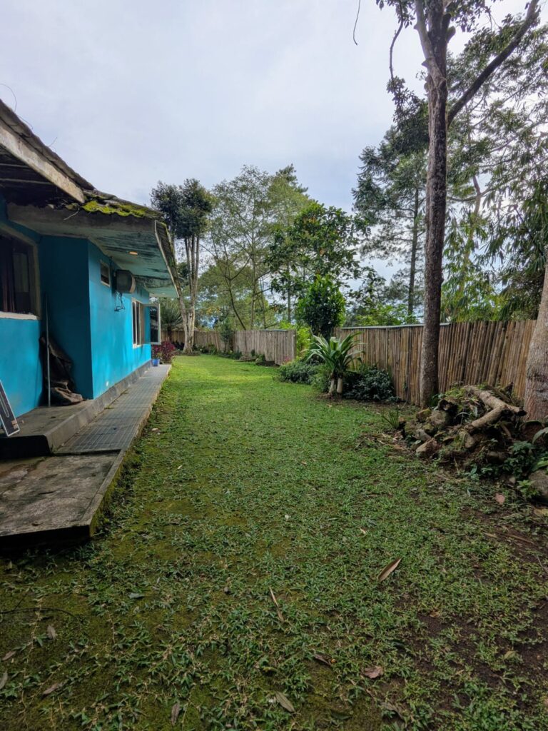 WhatsApp Image 2026-04-09 at 7.43.55 PM